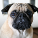 Foto: gullevek / Flickr